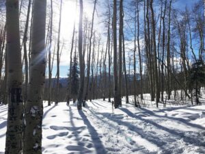 Trail Mt Elbert