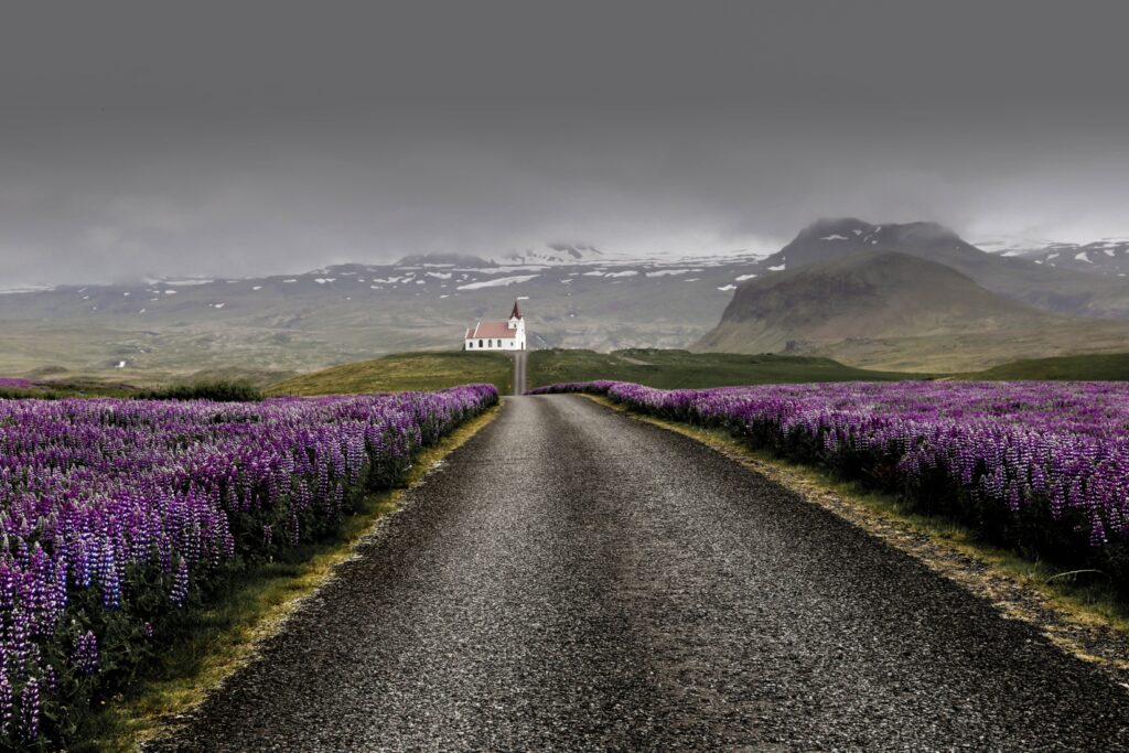 westfjords-places-to-visit