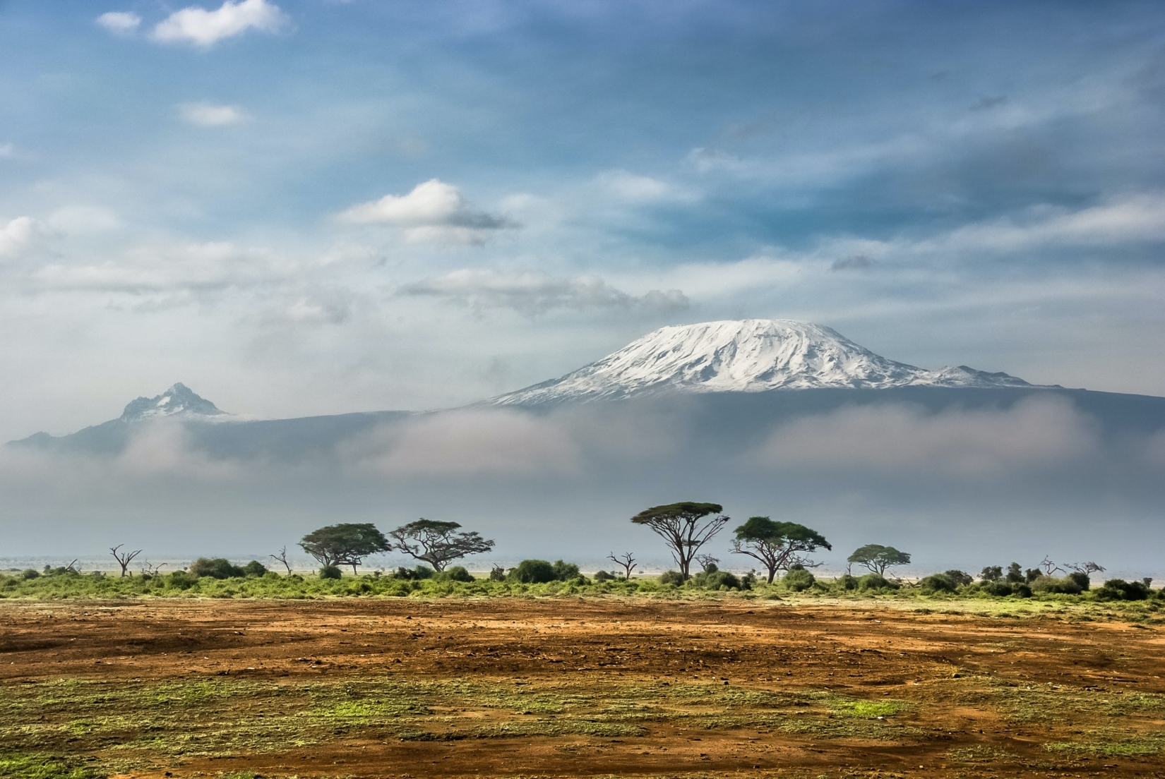 Snow covered peak of Mount Kilimanjaro surrounded by trees.