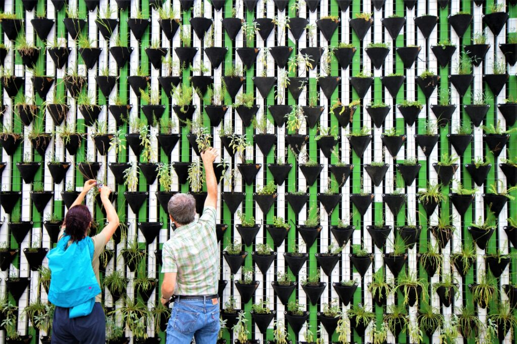 A woman and man attending to plants in a hanging wall garden