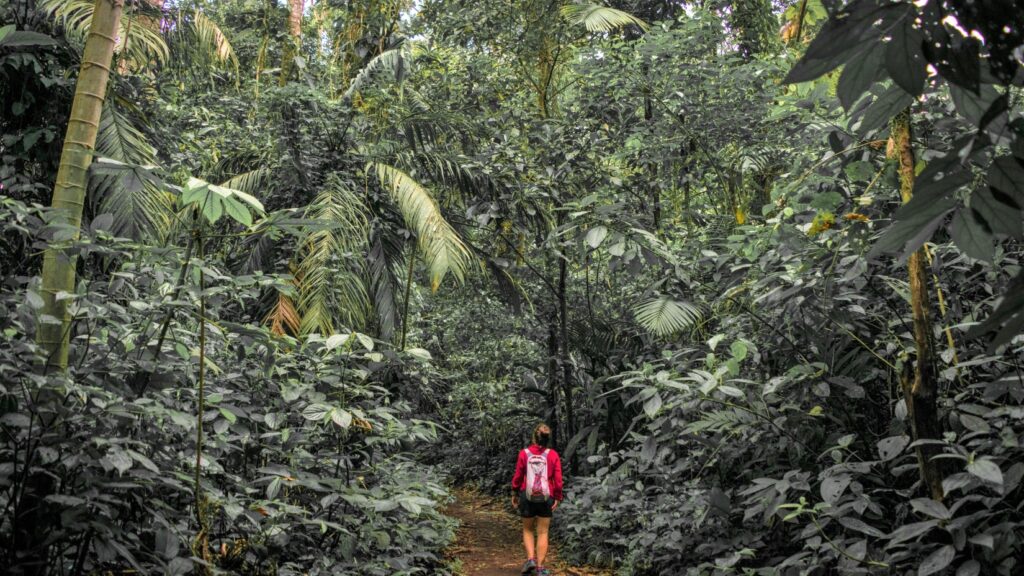 Person with backpack walking down the lush trails of the Arenal Volcano National Park in Costa Rica