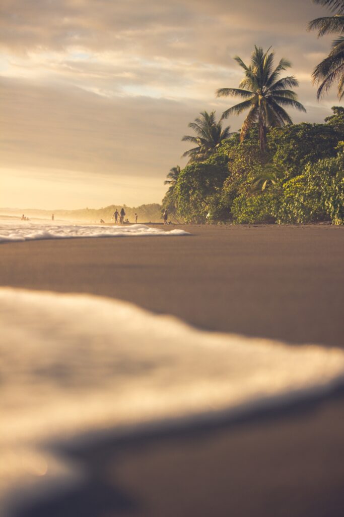 People walk along the expansive shoreline as the oceanfront space is sandwiched between waves and jungle